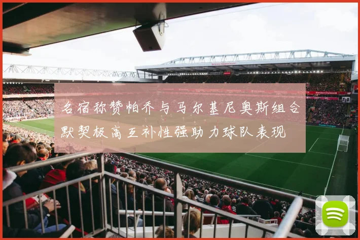 名宿称赞帕乔与马尔基尼奥斯组合默契极高互补性强助力球队表现